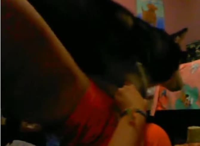 Video :Lady making dog orgasm by jacking off its dick